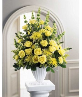 Glowing Ray Arrangement